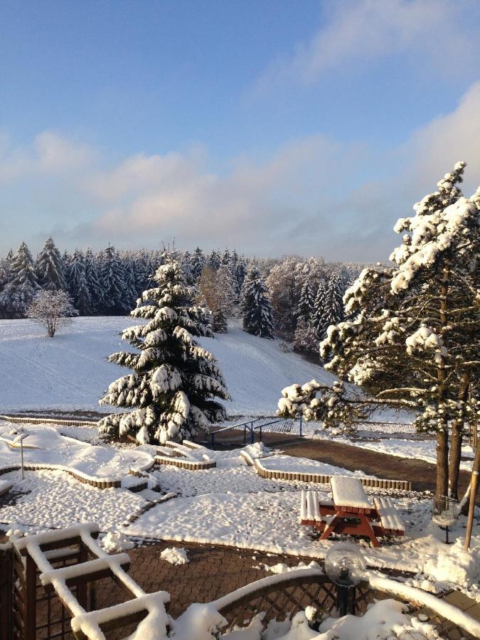 Ferienwohnung "Rodelnde Geiss" Mit Schwimmbad Braunlage Kültér fotó