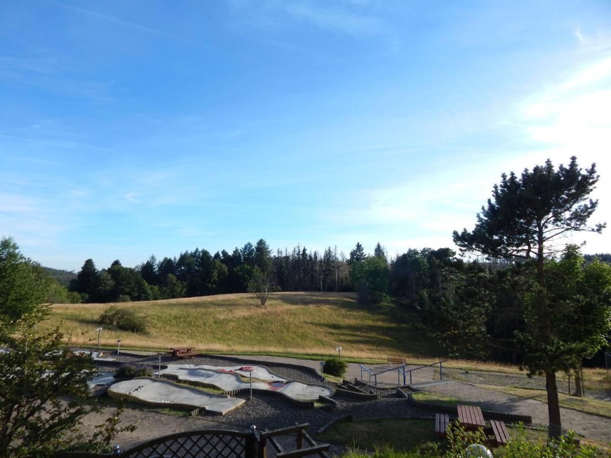 Ferienwohnung "Rodelnde Geiss" Mit Schwimmbad Braunlage Kültér fotó