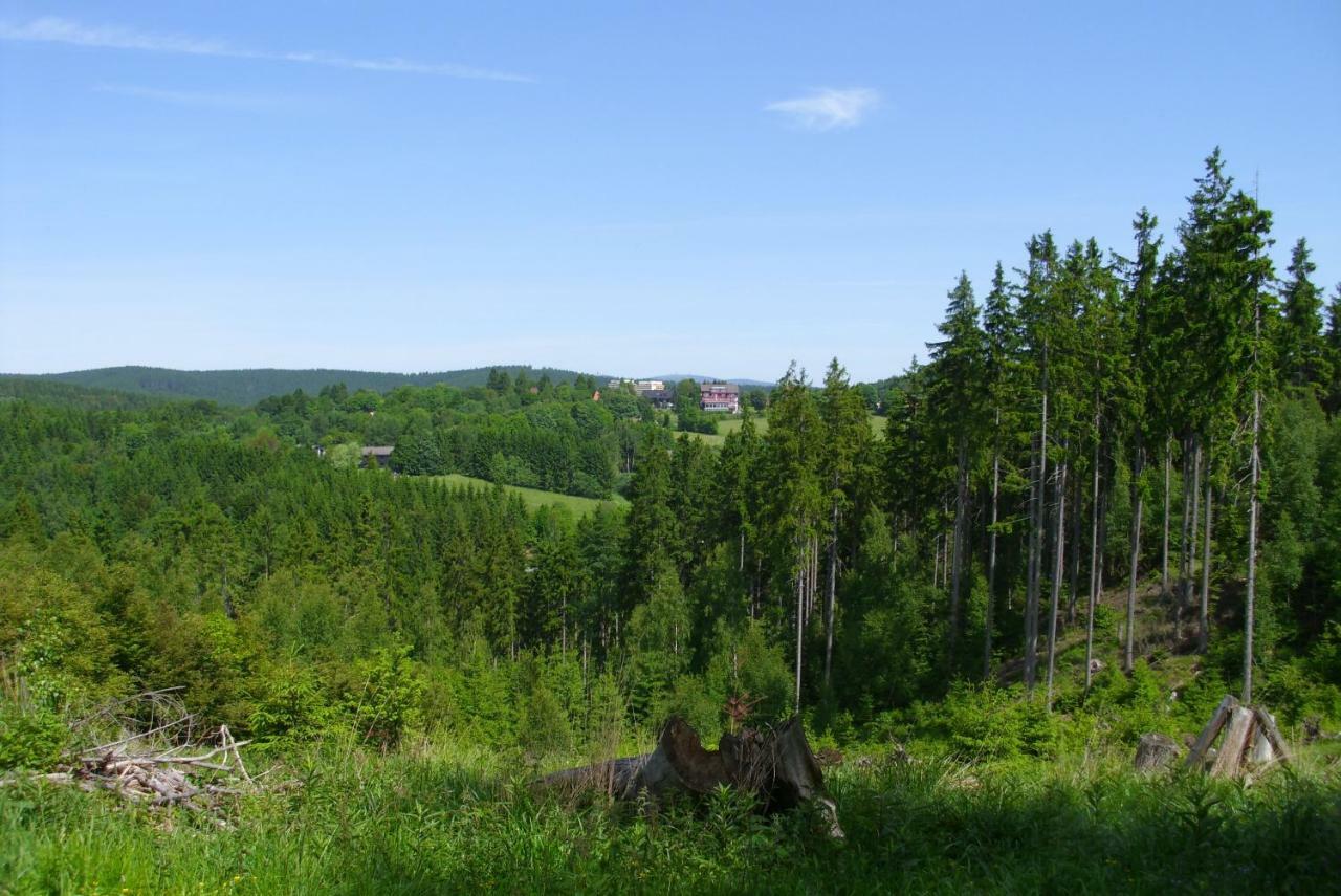 Ferienwohnung "Rodelnde Geiss" Mit Schwimmbad Braunlage Kültér fotó